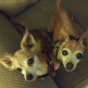 Meet your Posher, Kate